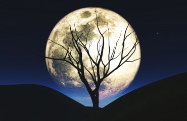 Ritual da Lua Cheia para Prosperidade: Passo a Passo...